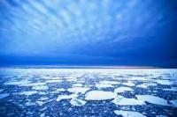 A photograph of the Arctic ice, Patrick Kelley, http://www.flickr.com/photos/usgeologicalsurvey/4370267907/in/set-72157623467470824CC by 2.0